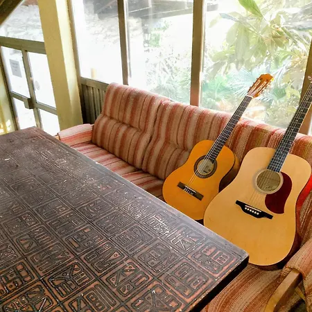 Botanika Hostel Varna