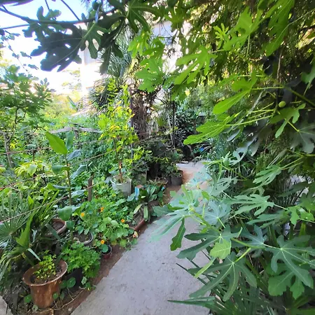 Botanika Хостел