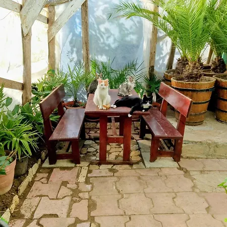 Botanika بيت شباب *