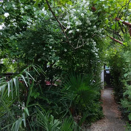 Hostel Botanika *