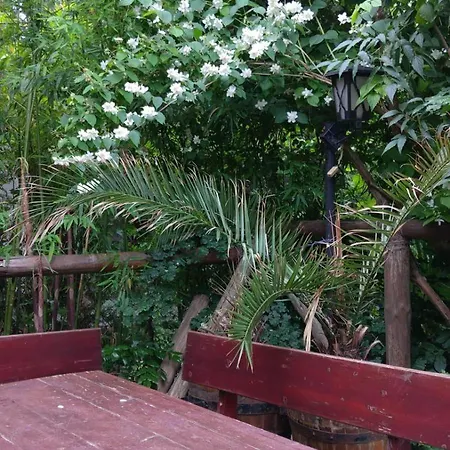 Botanika Hostel *